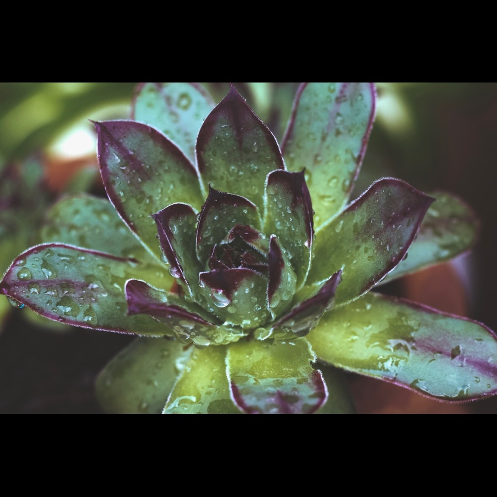 Postcards! - Picture 3 of 8